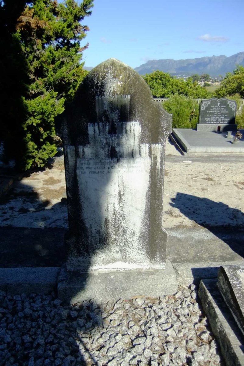 DSCF3465