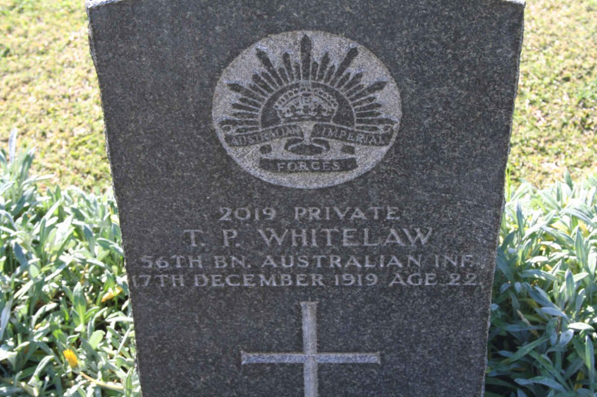 WHITELAW T.P. -1919