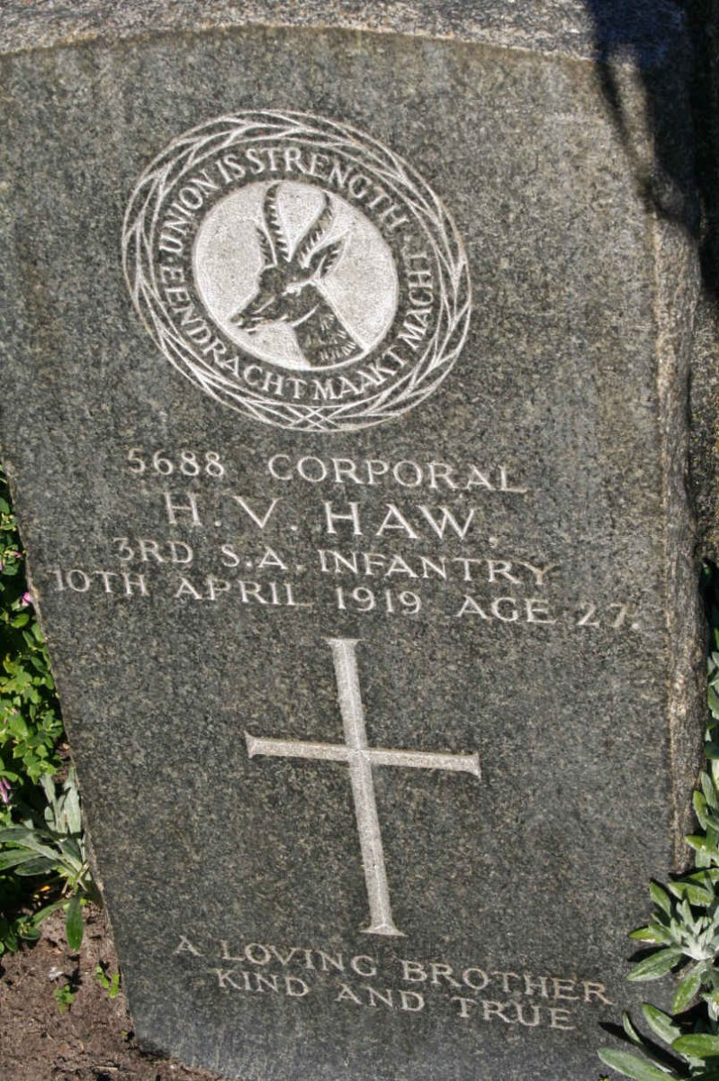 HAW H.V. -1919