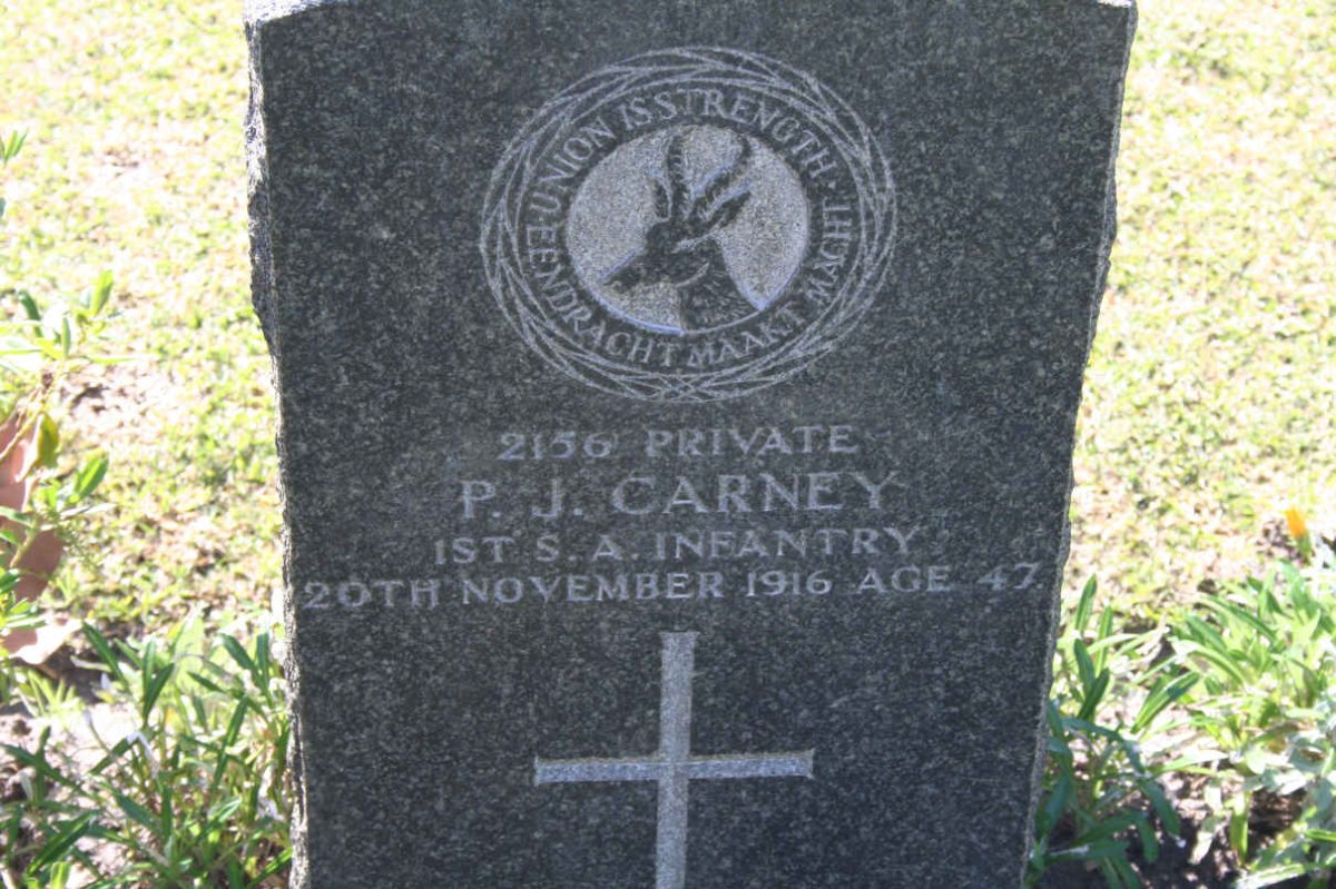 CARNEY P.J. -1916