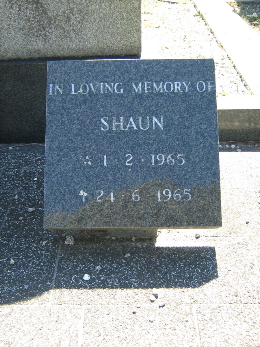 ? Shaun 1965-1965