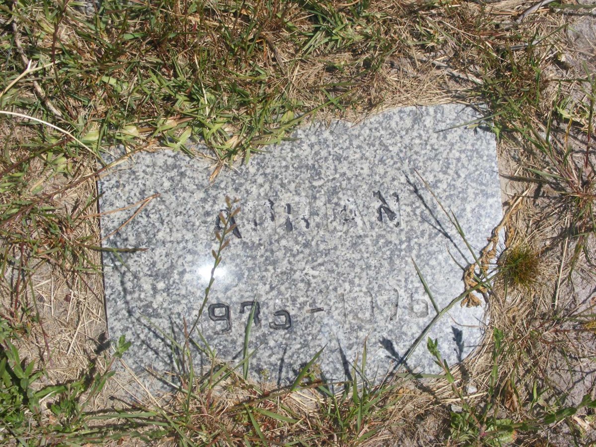 ? Adrian 1935-1976