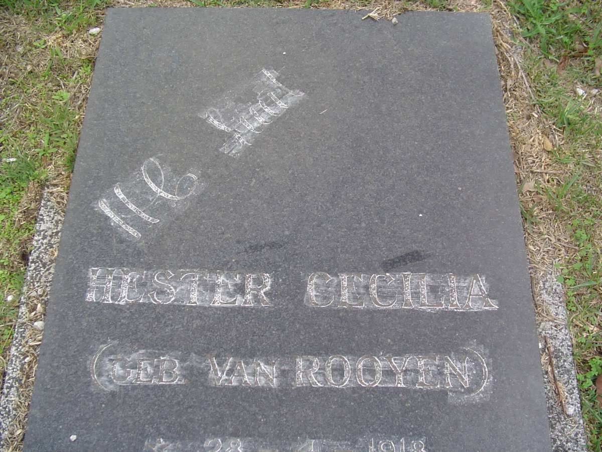 ? Hester Cecilia nee van ROOYEN 1918-1984