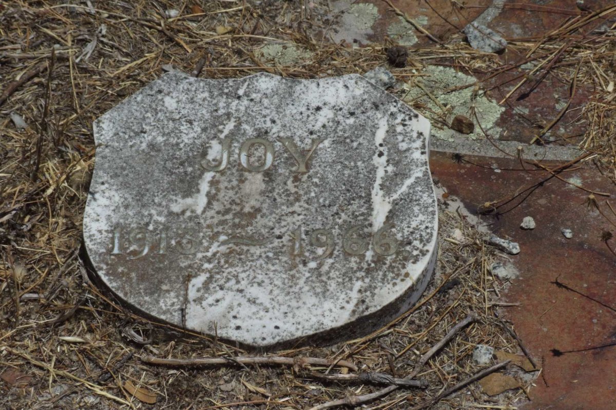 ? Joy 1913-1966