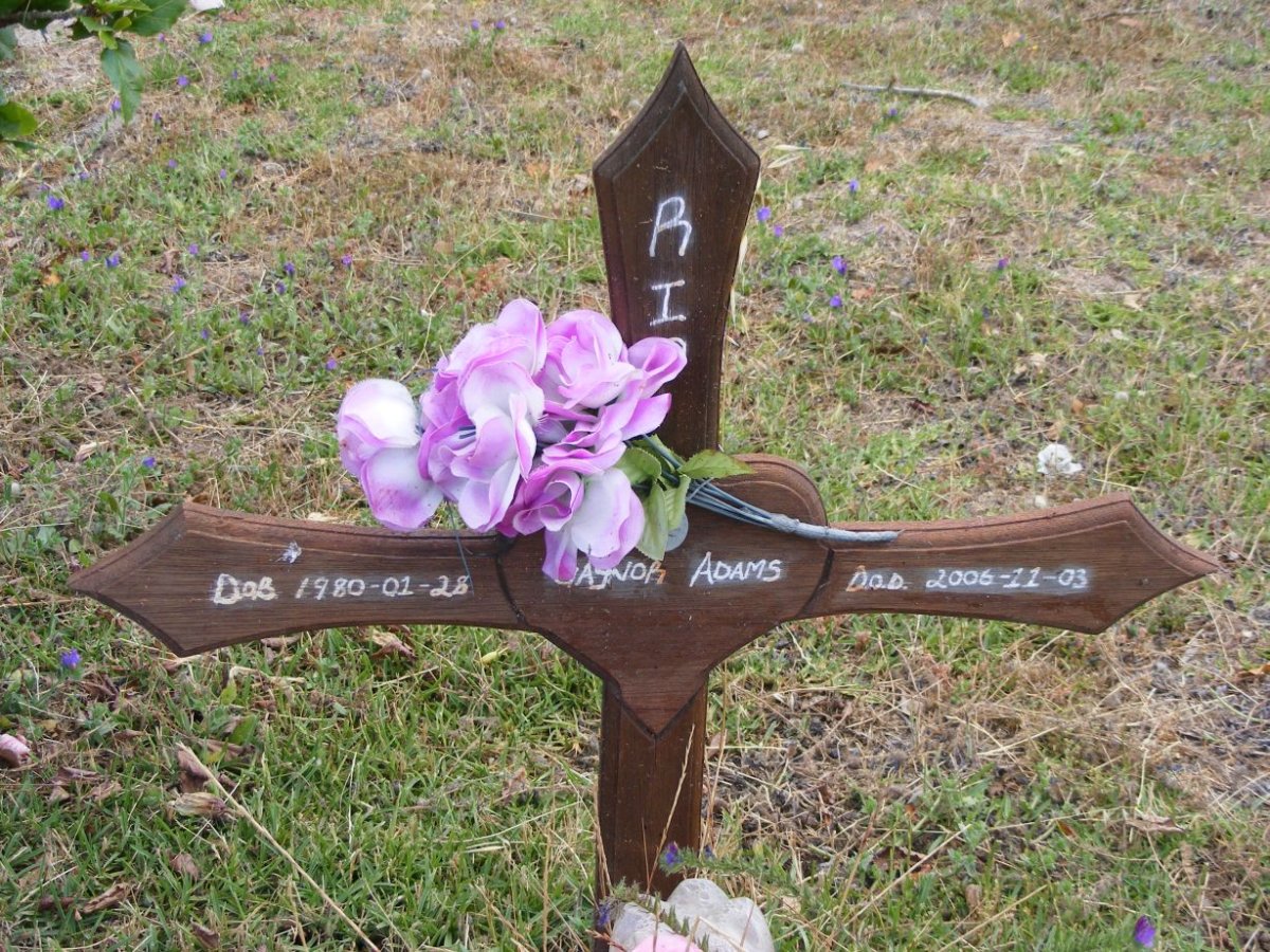 ADAMS Gaynor 1980-2006