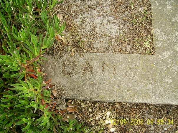 ADAMS
