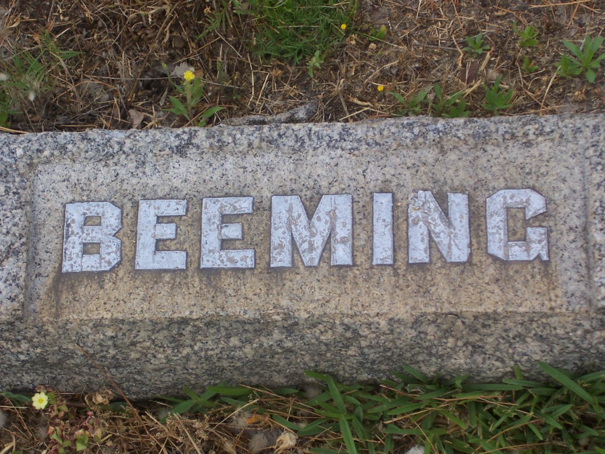 BEEMING