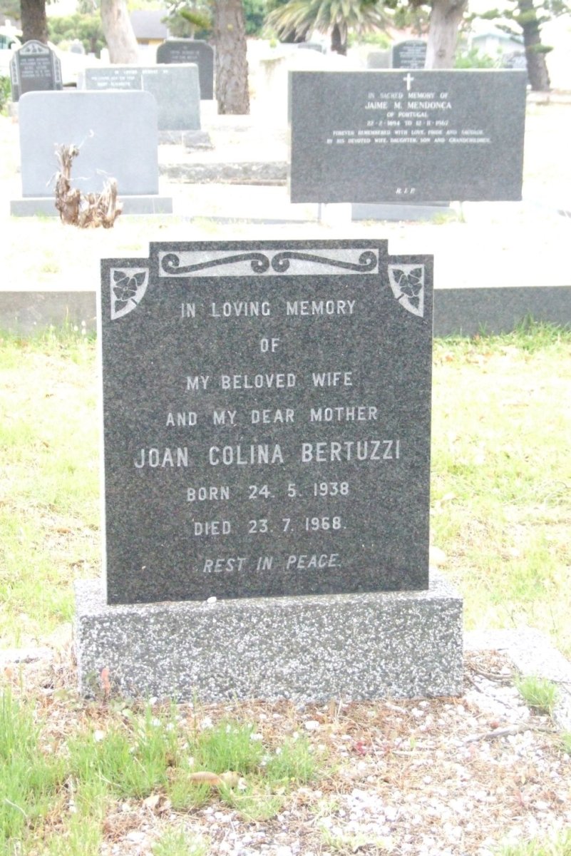 BERTUZZI Joan Colina 1938-1968