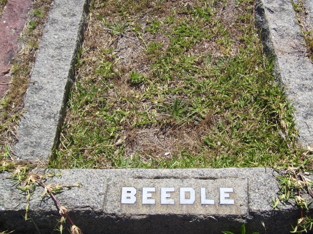 BEEDLE