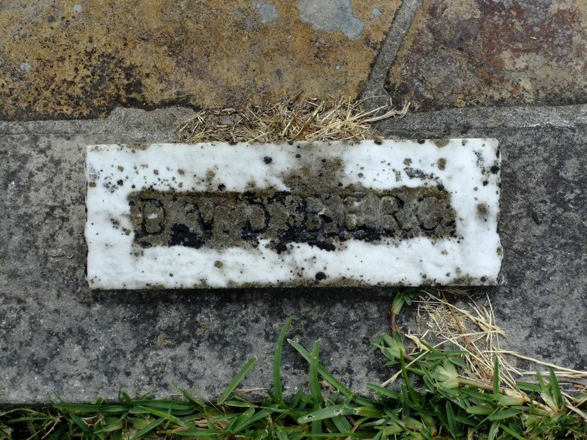 BERG D., v.d.