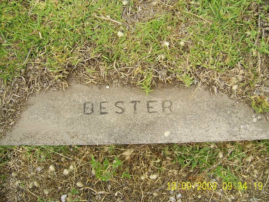 BESTER ?