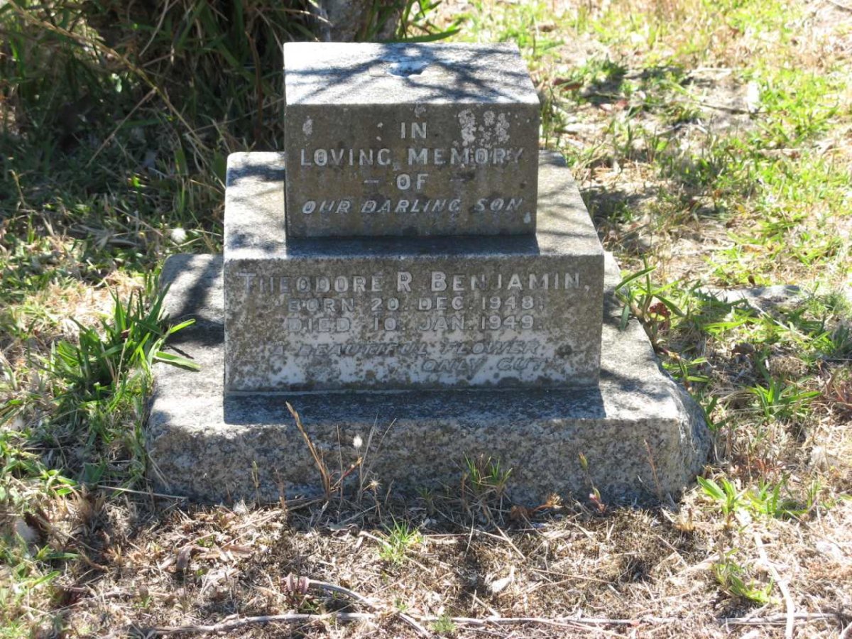 BENJAMIN Theodore R. 1948-1949