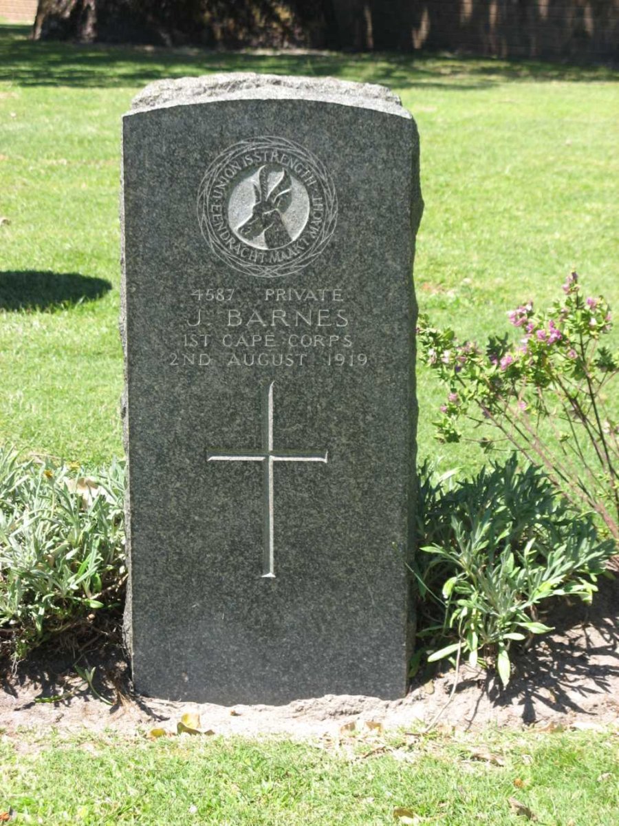 BARNES J. -1919