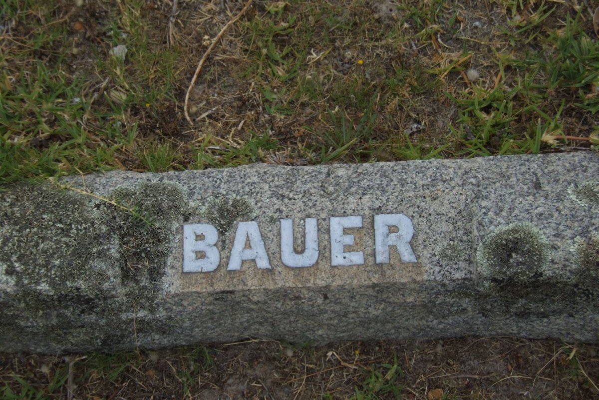 BAUER