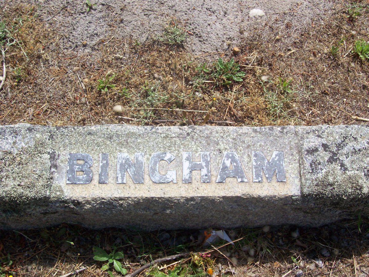 BINGHAM 