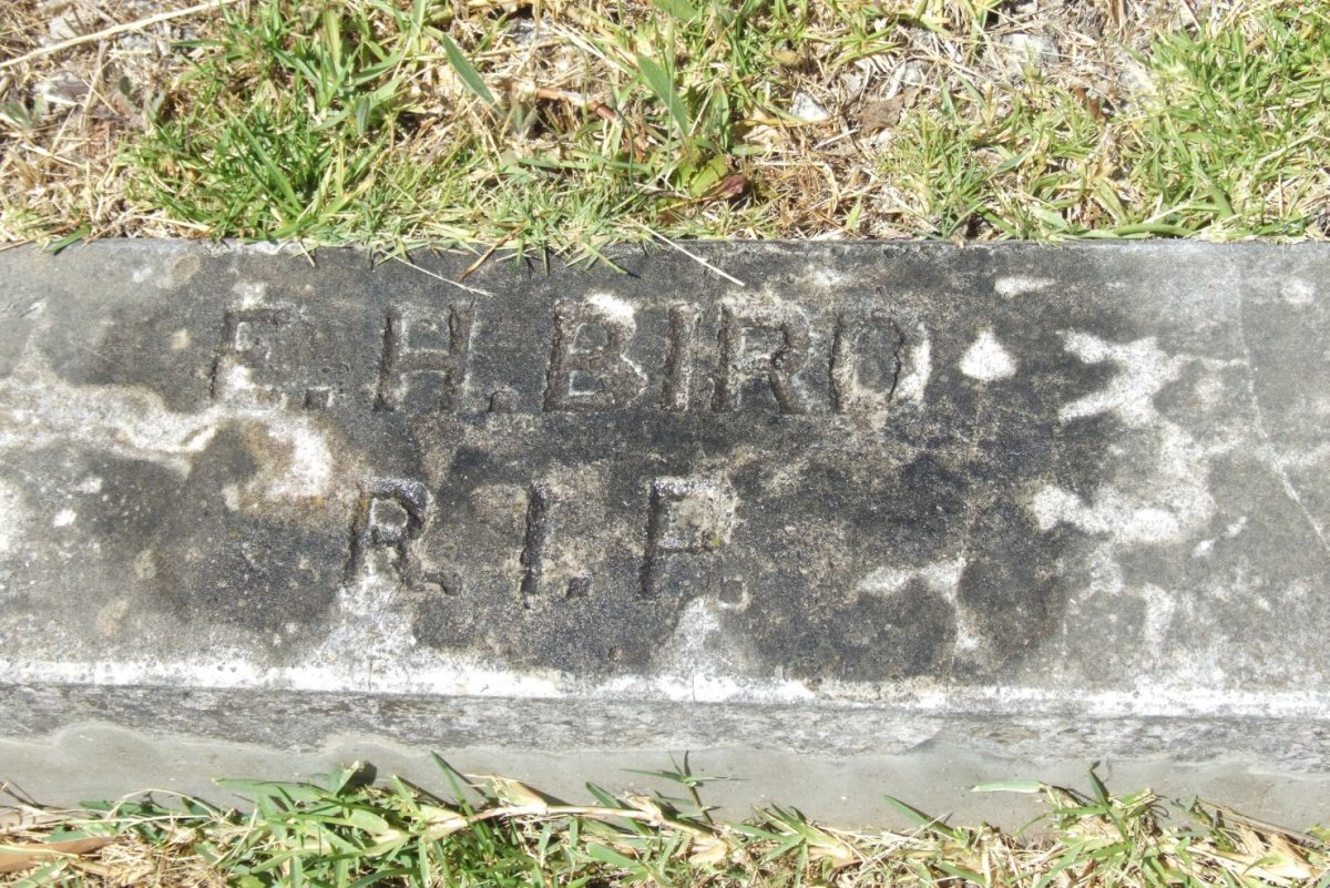 BIRD E.H. 