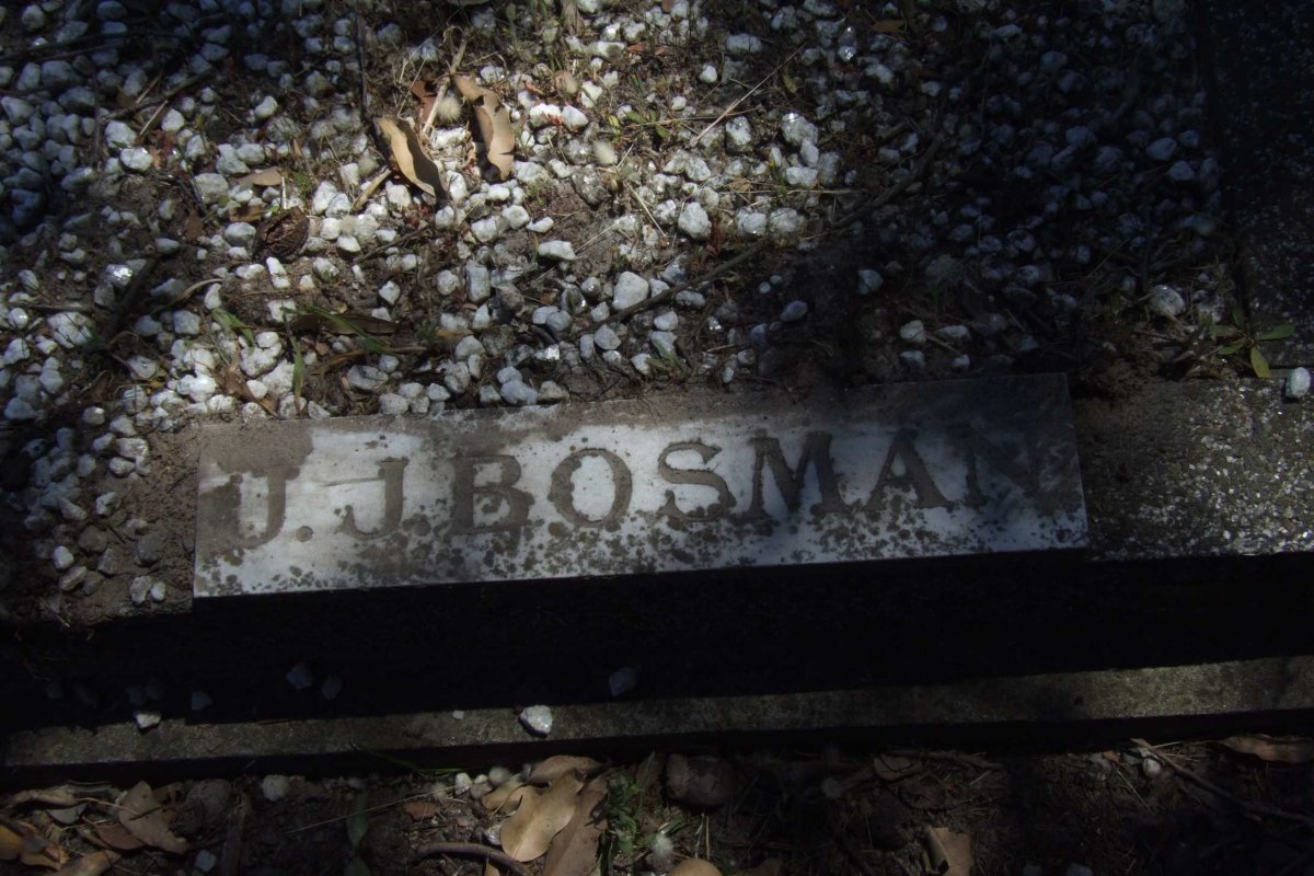 BOSMAN J.J.