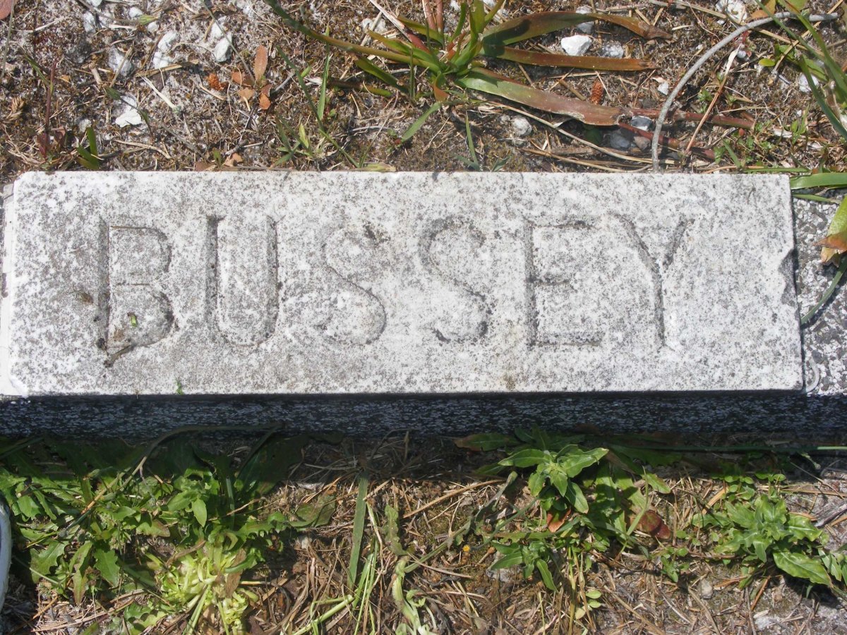 BUSSEY