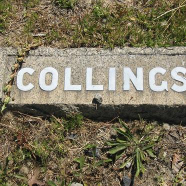 COLLINGS