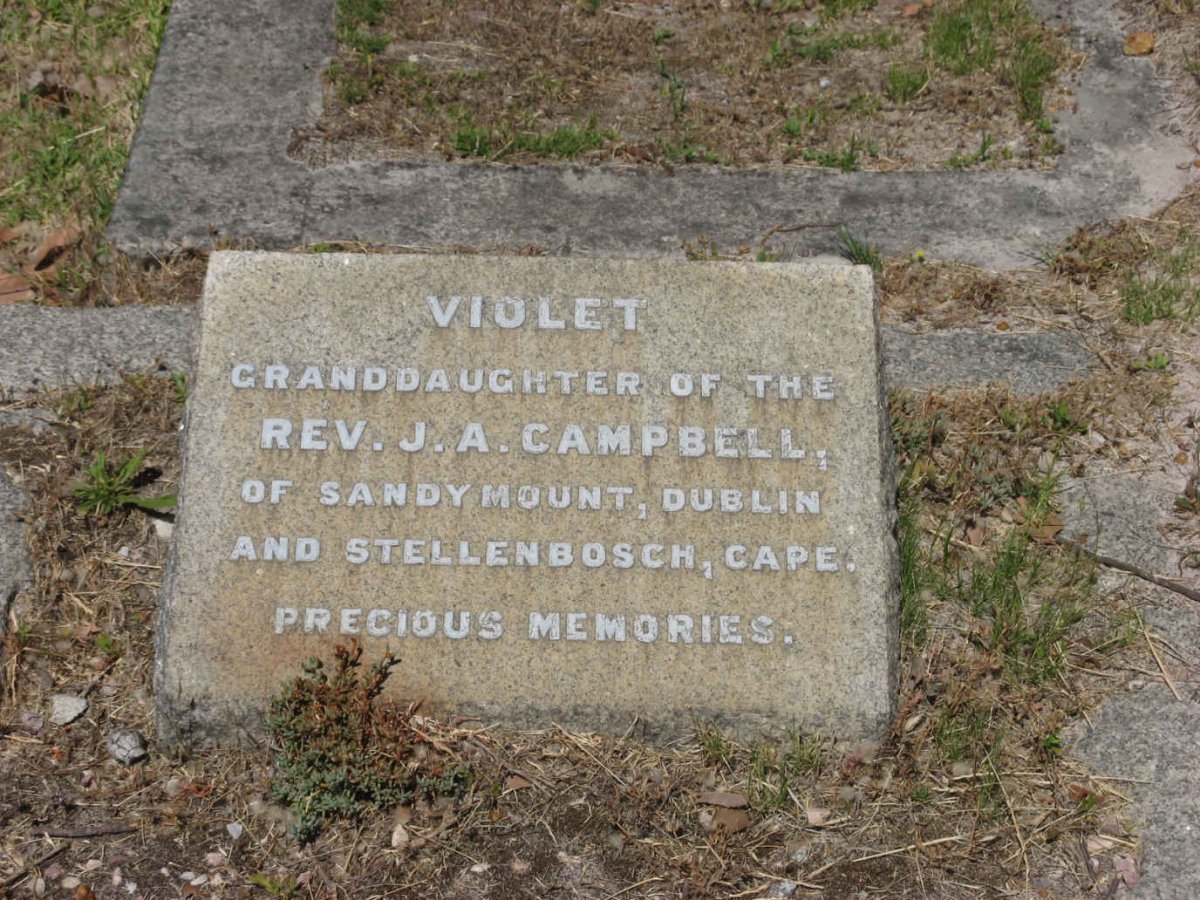 CAMPBELL Violet