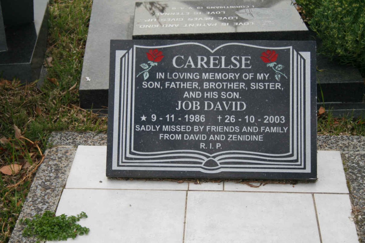 CARELSE Job David 1986-2003