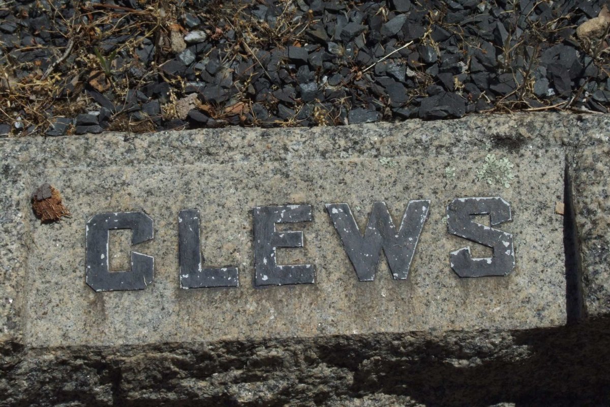 CLEWS ?