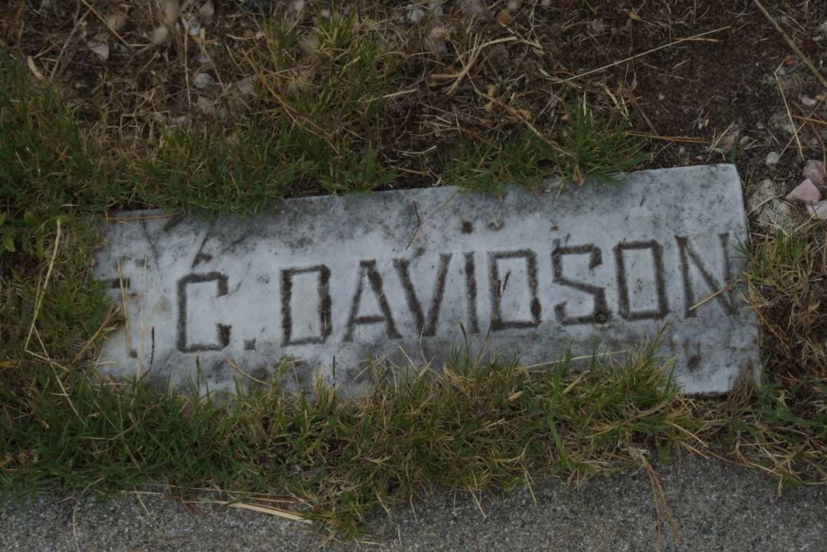 DAVIDSON F.C.
