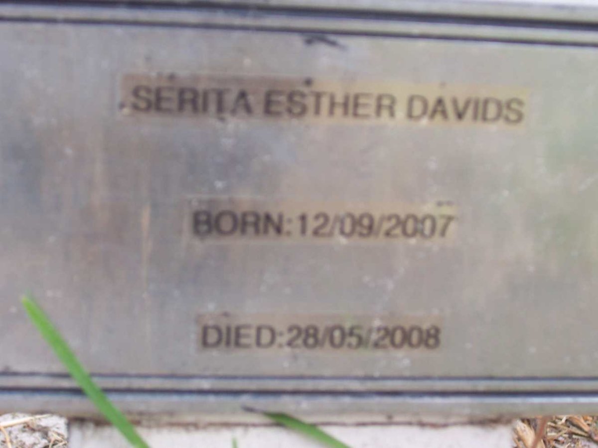 DAVIDS Serita Esther 2007-2008