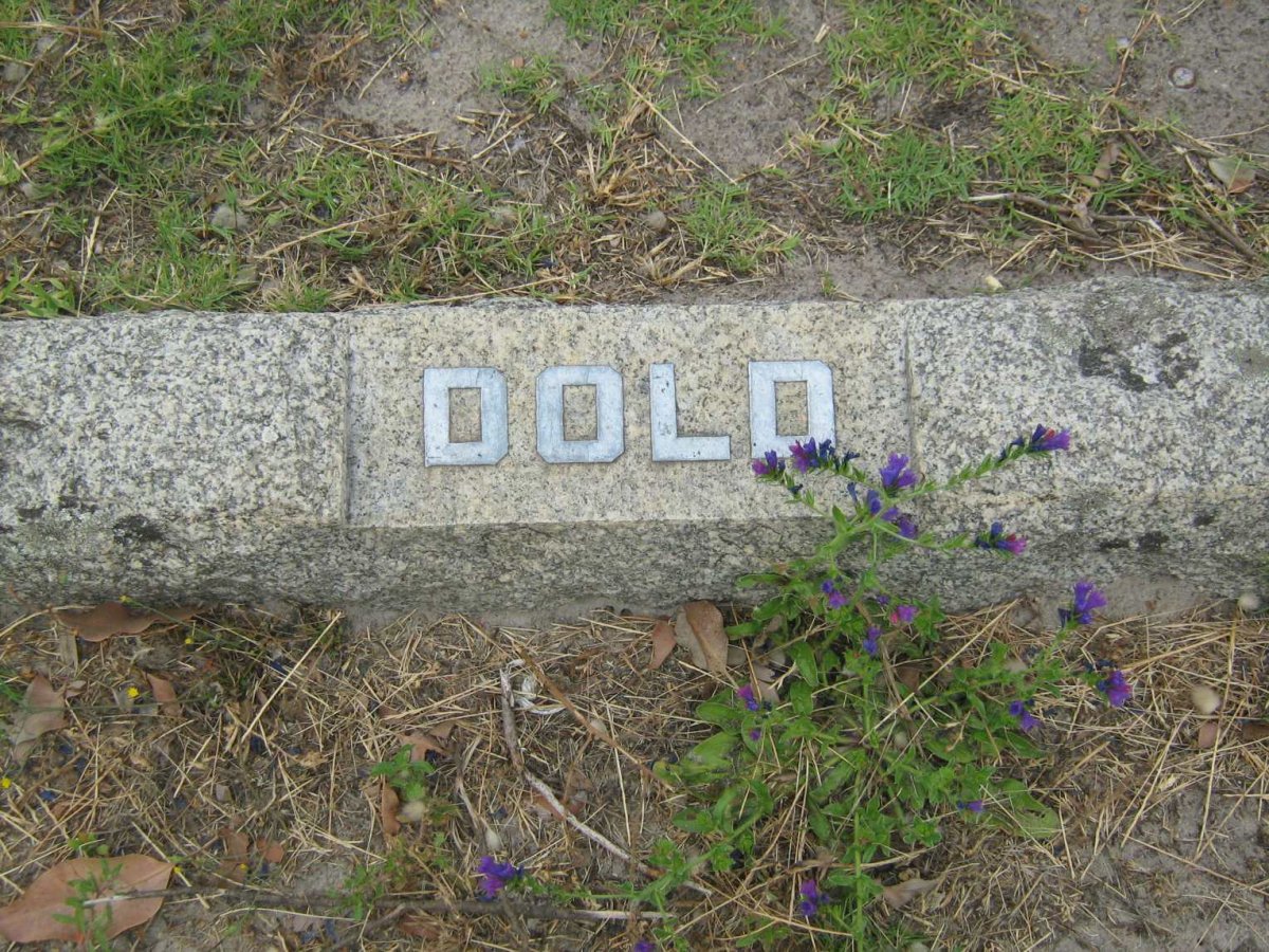 DOLD ?