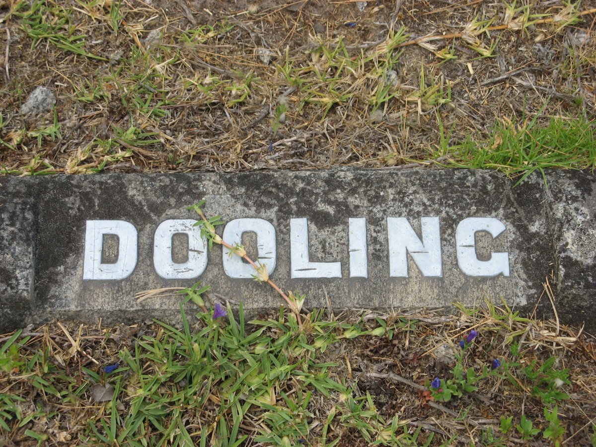 DOOLING