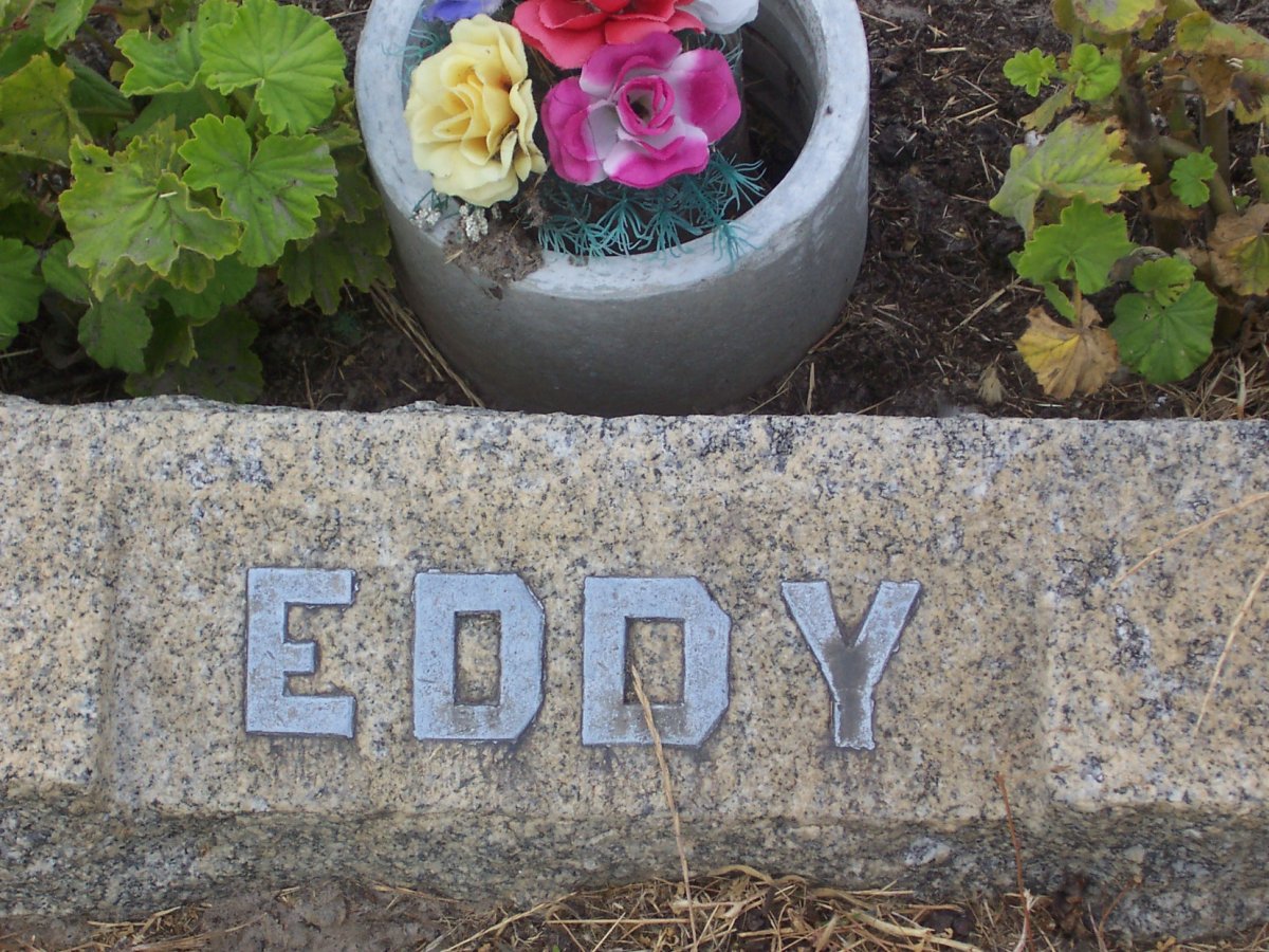 EDDY