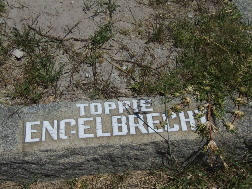 ENGELBRECHT Toppie