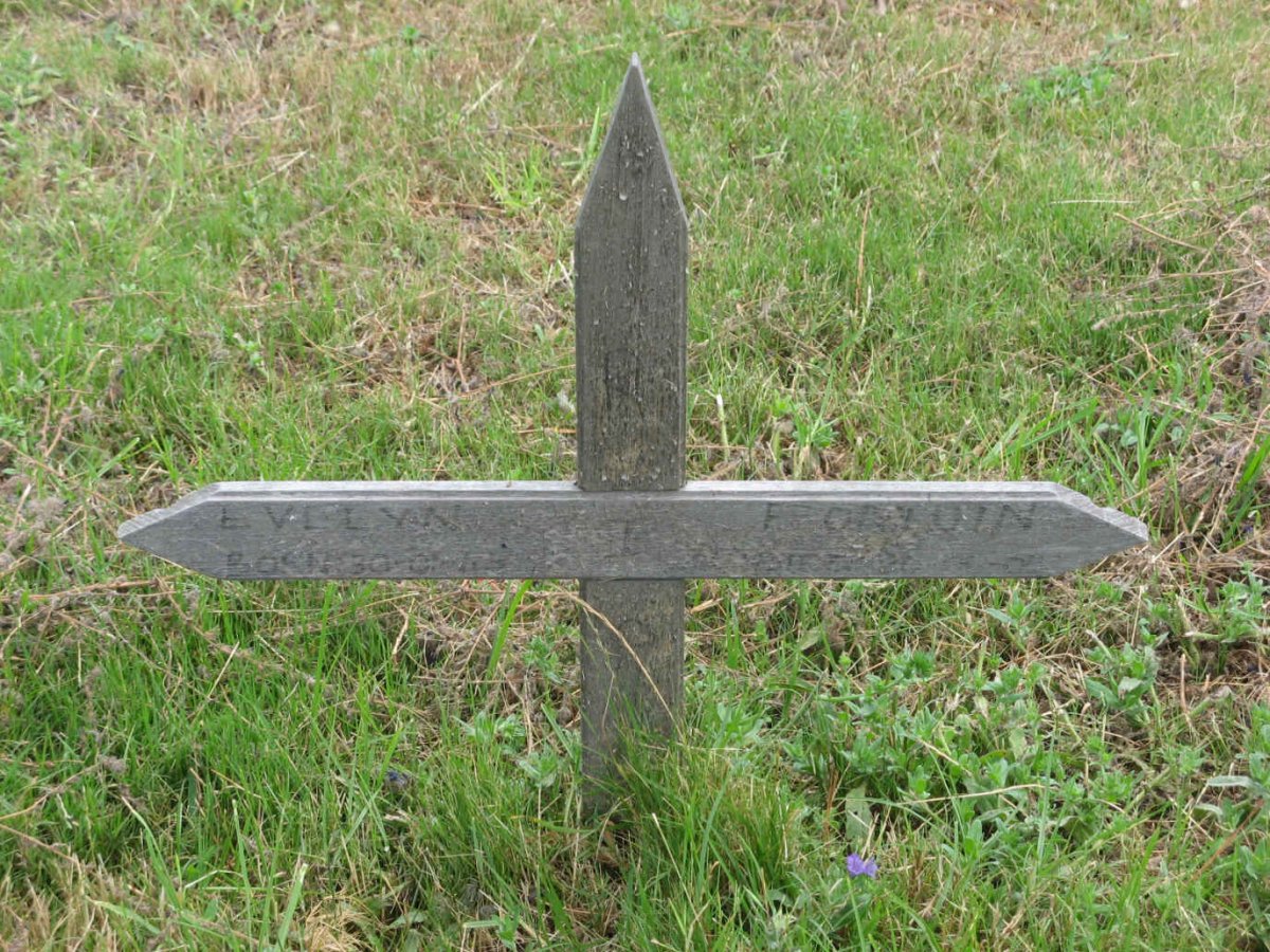 FORTUIN Evelyn 1943-