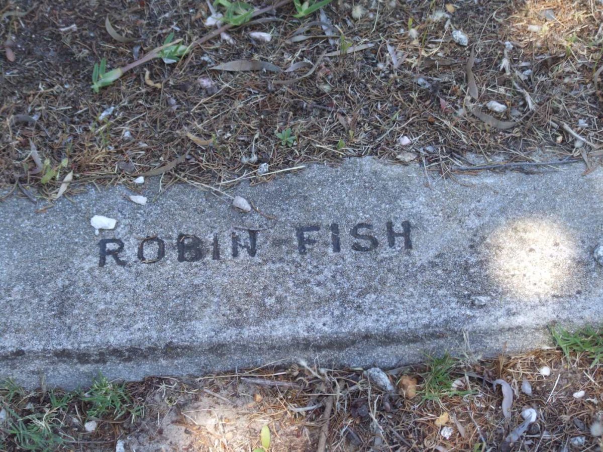 FISH Robin