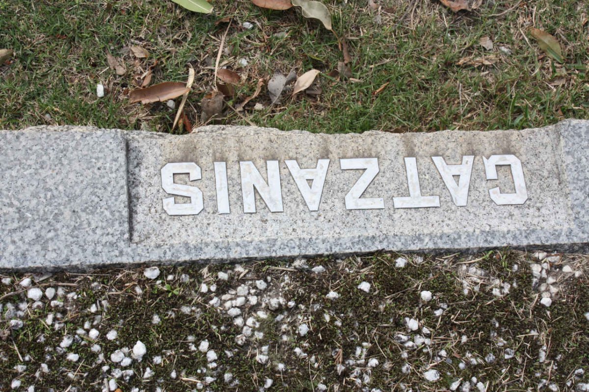 GATZANIS ?