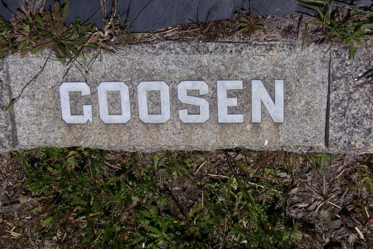 GOOSEN