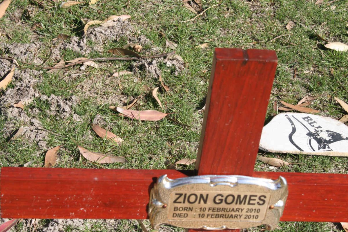 GOMES Zion 2010-2010