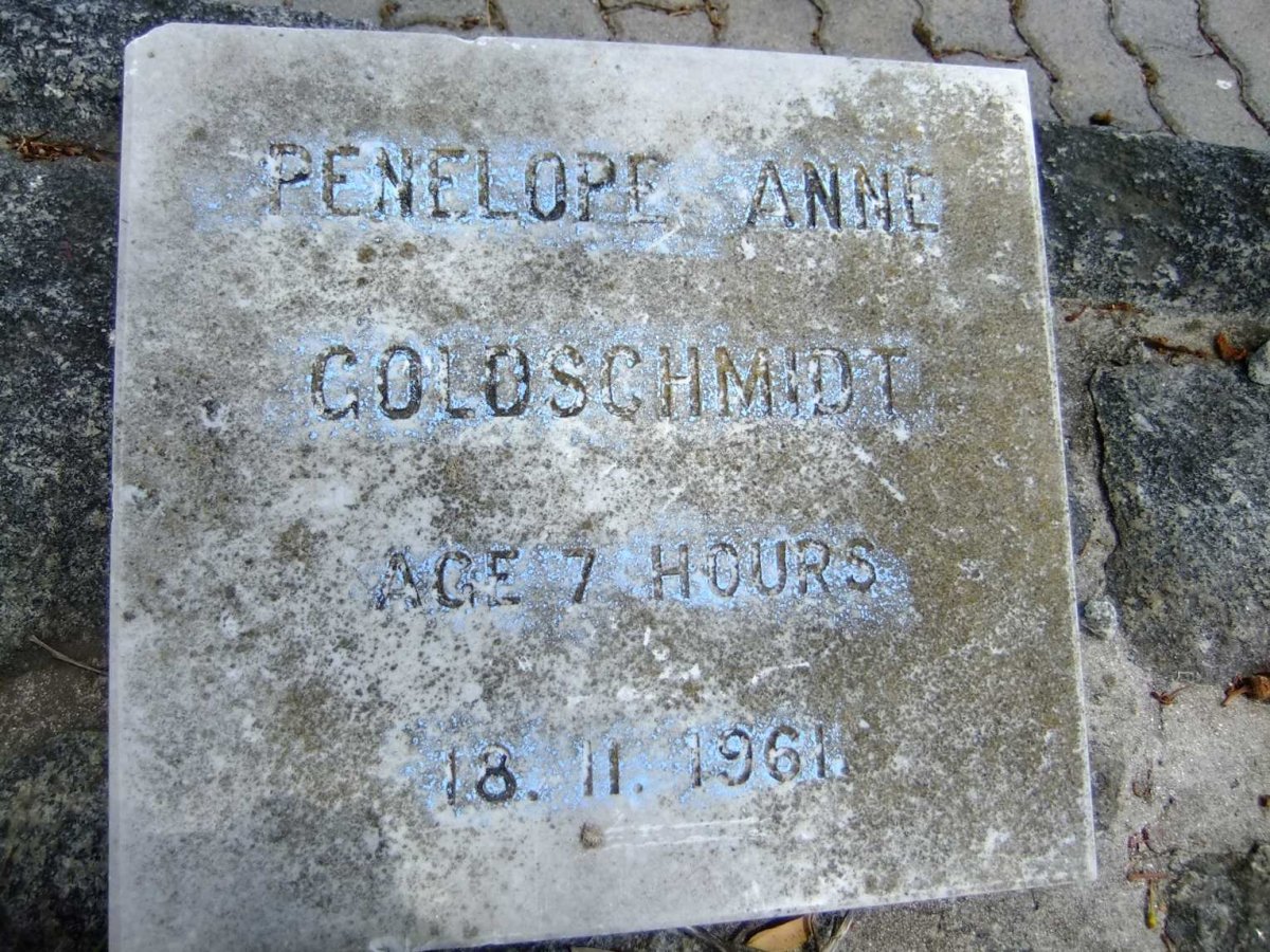 GOLDSCHMIDT Penelope Anne -1961