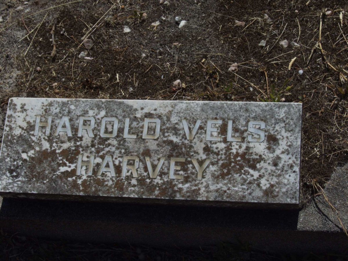 HARVEY Harold Vels