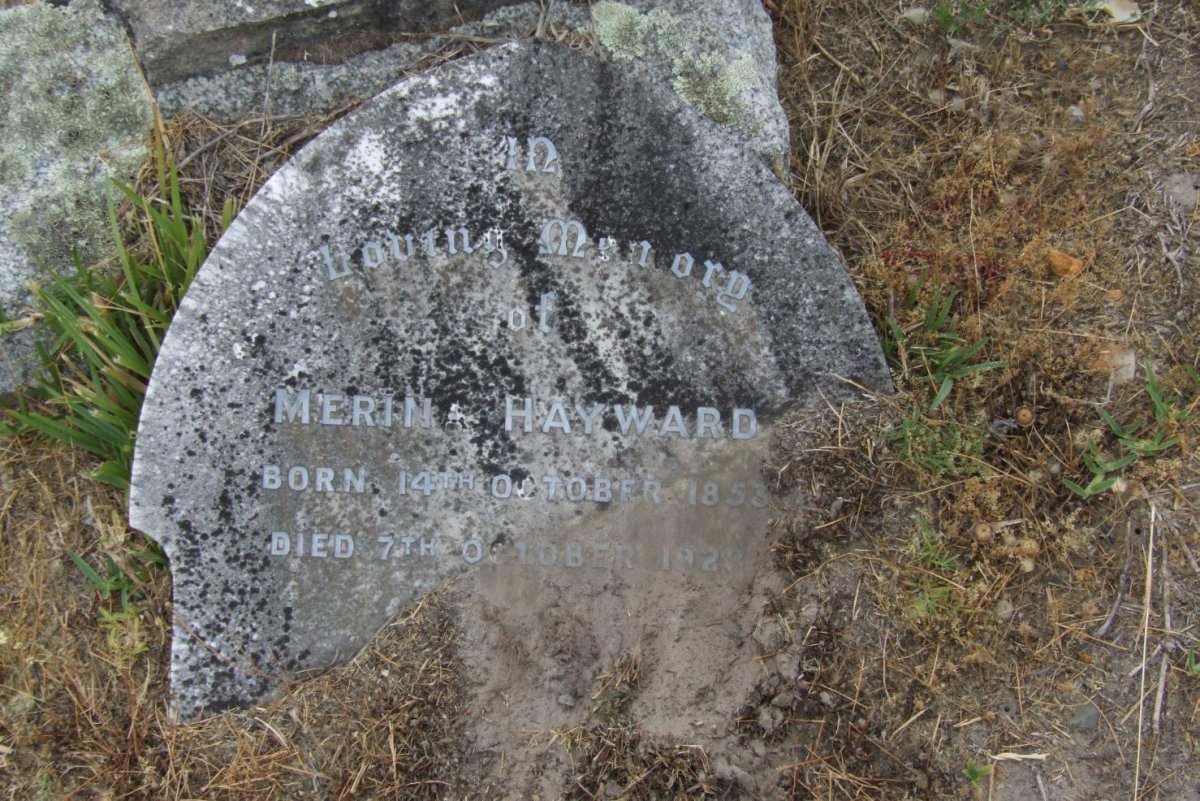 HAYWARD Merina 1853-1928