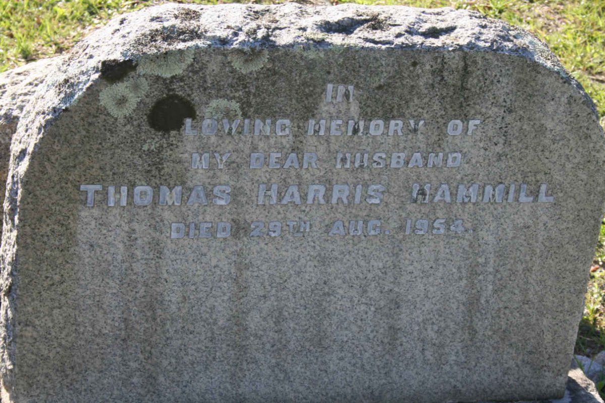 HAMMILL Thomas Harris -1954
