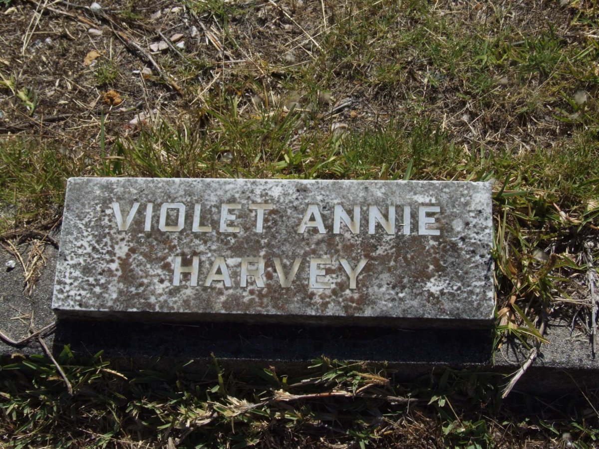 HARVEY Violet Annie