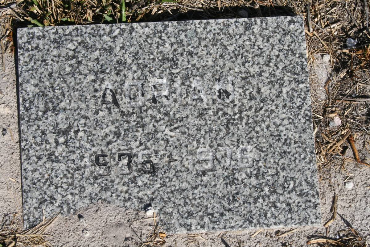 HARDING Adrian 1935-1976