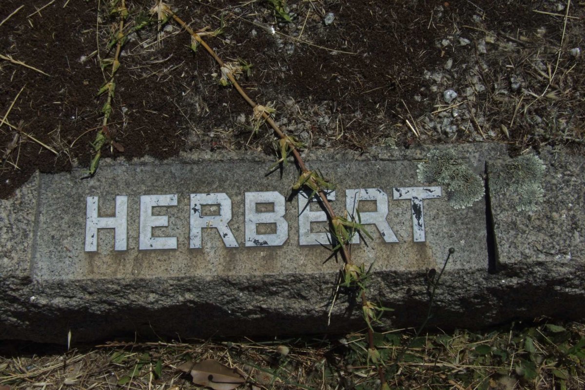 HERBERT ?