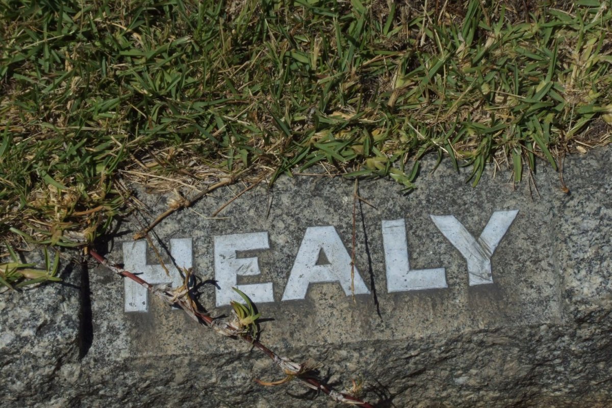 HEALY