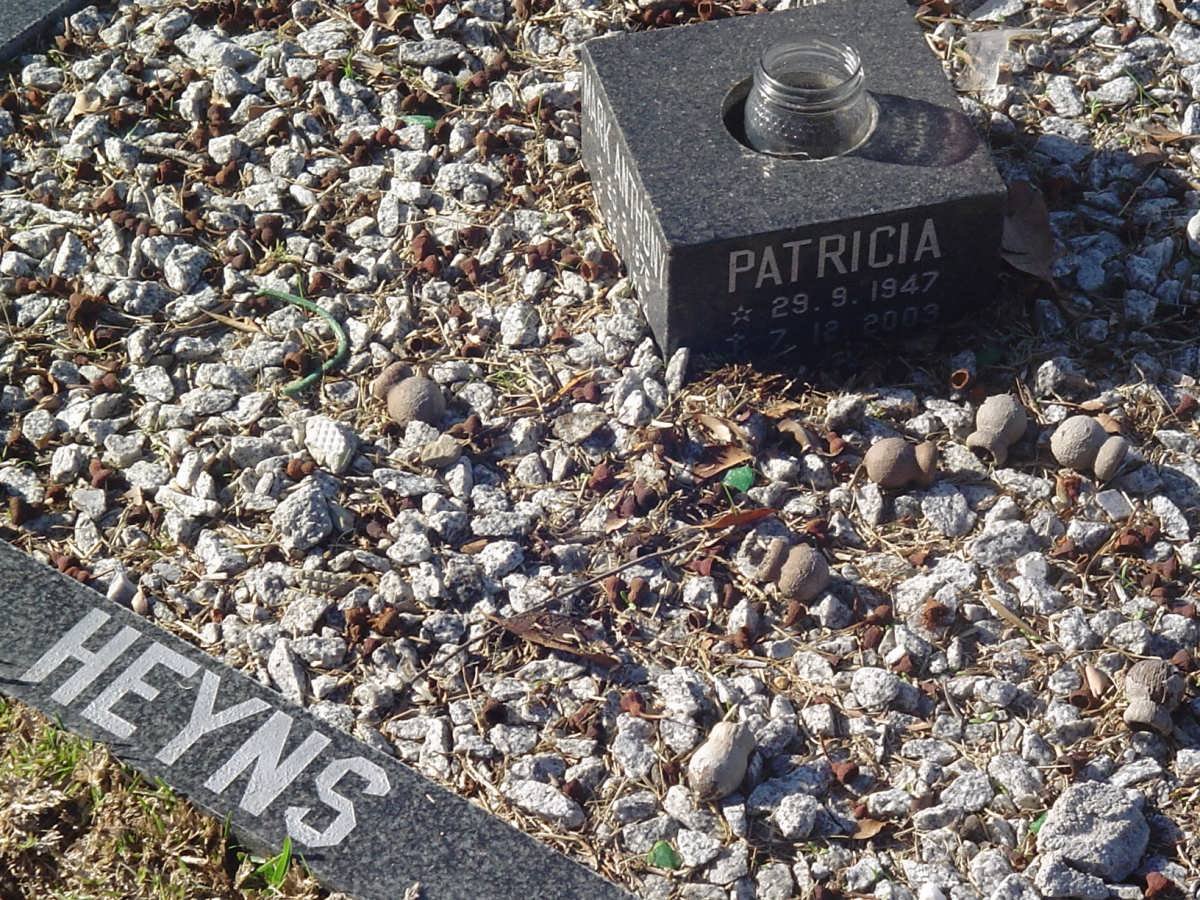 HEYNS Patricia 1947-2003