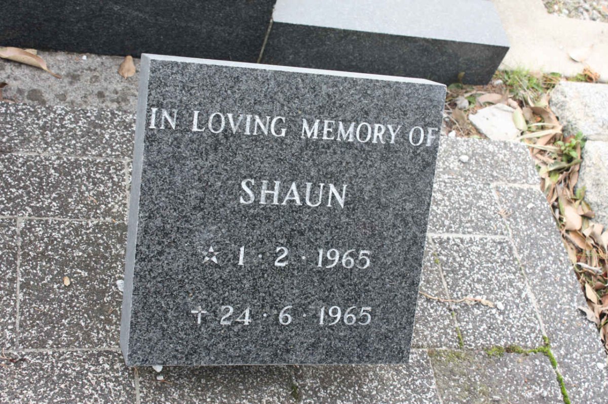 HUTTON Shaun 1965-1965