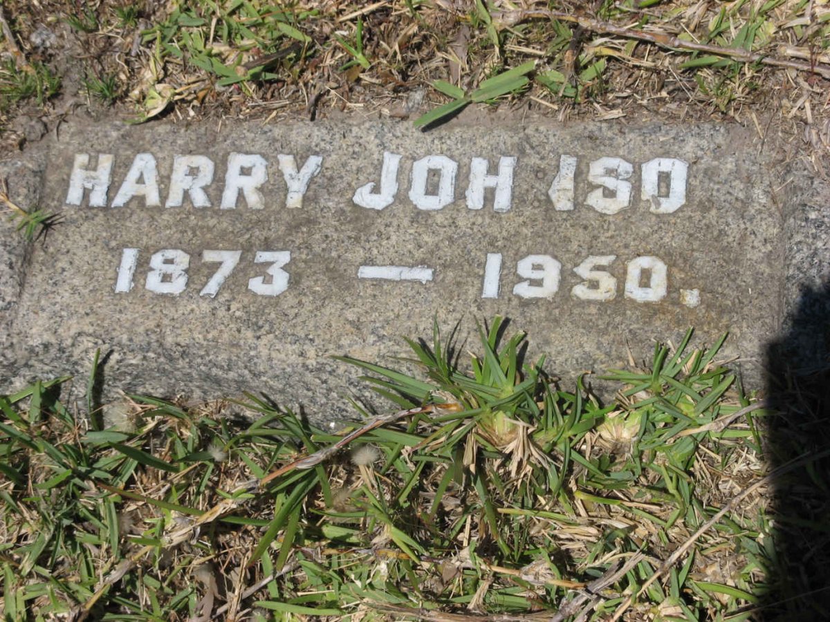 JOHNSON Harry 1873-1950