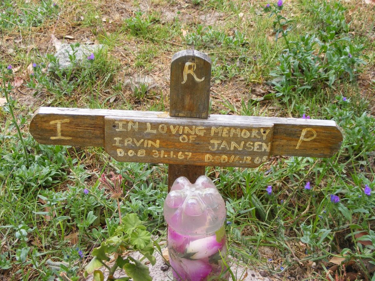 JANSEN Irvin 1967-2005