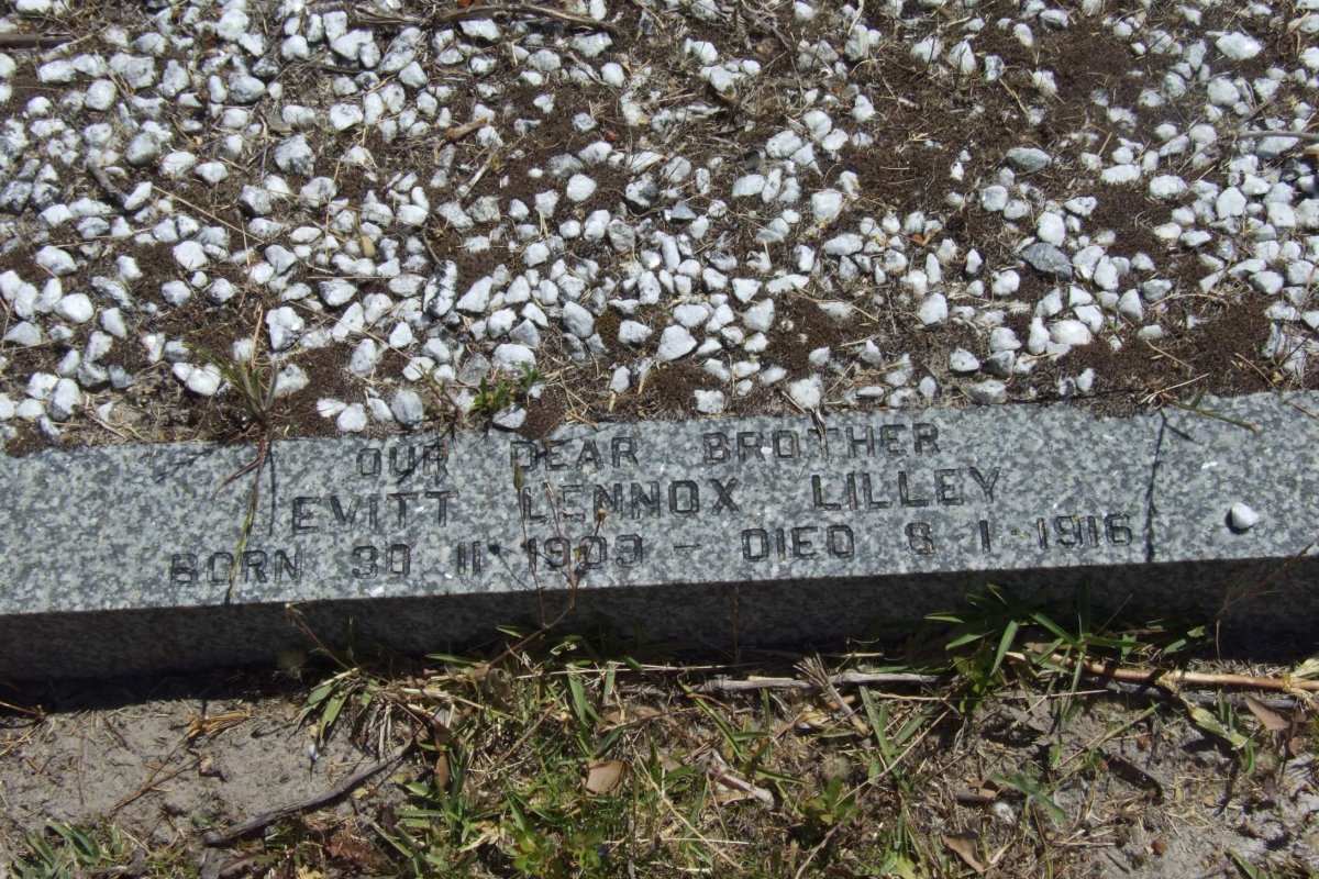 LILLEY Evitt Lennox 1909-1916
